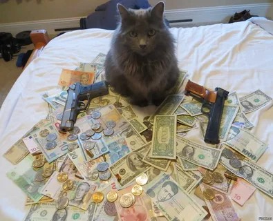 Создать мем: гангста кот, коты гангстеры, коты с деньгами
