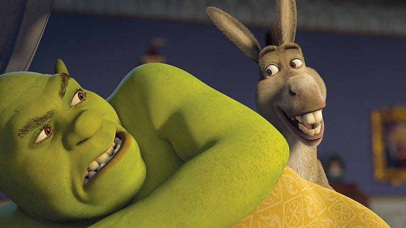 Create meme: Shrek , donkey shrek, Shrek Shrek
