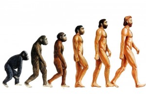 Создать мем: эволюция человека дарвина, теория эволюции дарвина, эволюция тела
