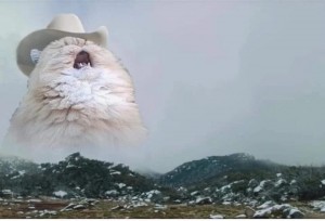 Create meme: the cat shouts in the mountains, screaming cat in the hat, screaming cat