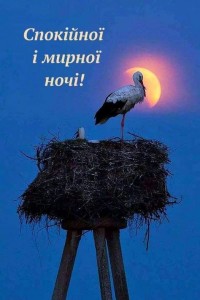 Create meme: good night, white stork, stork