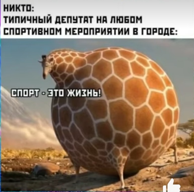 Создать мем: круглое сафари - rollin-safari, приколы, круглый жираф
