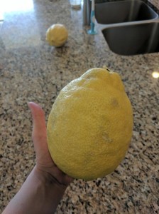 Создать мем: the big lemon, огромный лимон, лимон