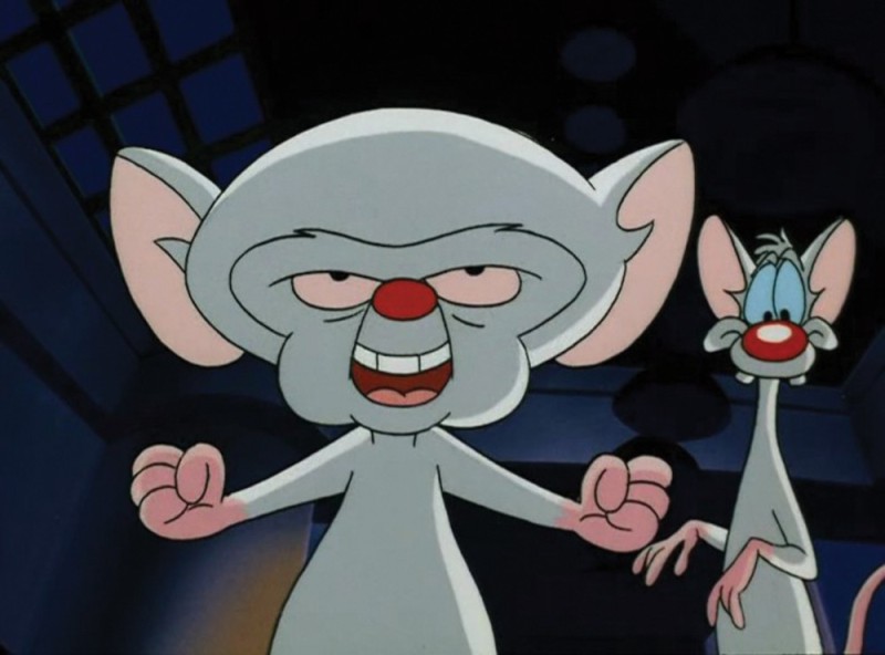 Create meme: pinky and brain , brain from the cartoon, pinky and brain take over the world