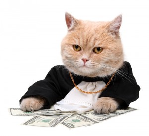 Создать мем: блатной кот, инвестор, кошки