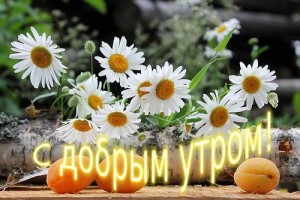 Создать мем: доброго дня ромашки, доброе утро пожелания, мое доброе утро