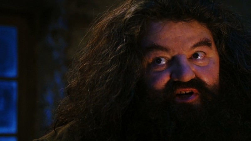 Create meme: hagrid the actor, Hagrid from Harry, Robbie Coltrane is Hagrid