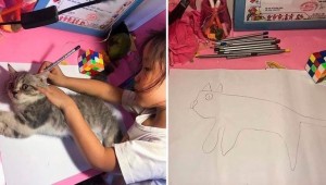 Create meme: draw your pet, cat artist