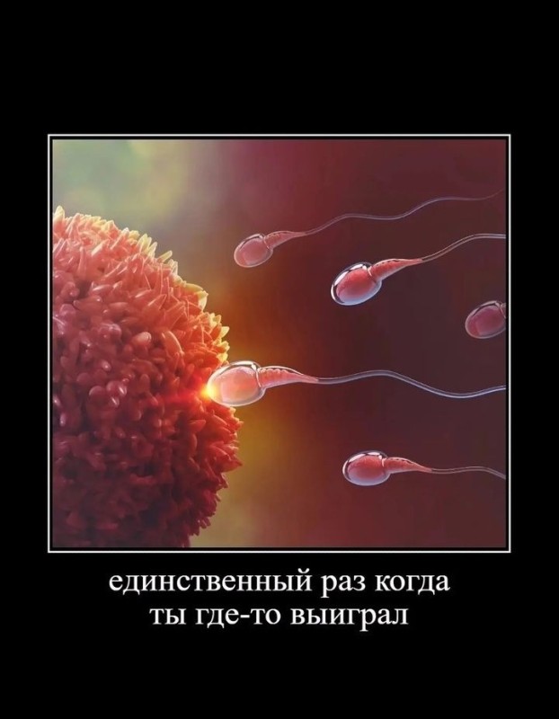 Создать мем: сперматозоид, оплодотворение, зачатие