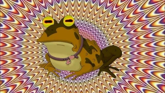 Create meme: toad hypnotist, toad , toad hypnosis