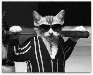 Create meme: thug cat, cat Motya, ava for