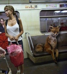 Create meme: the girl in the subway, girls in the Moscow metro photo, girls in the subway