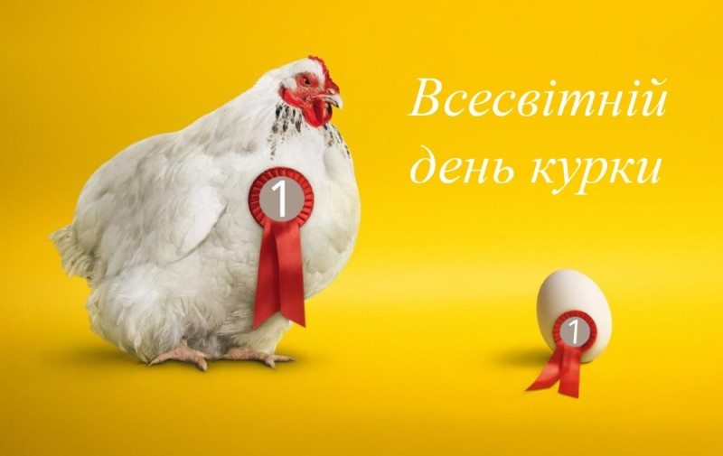 Создать мем: курица яйцо dhl\, креативная реклама курицы, яйцо курицы