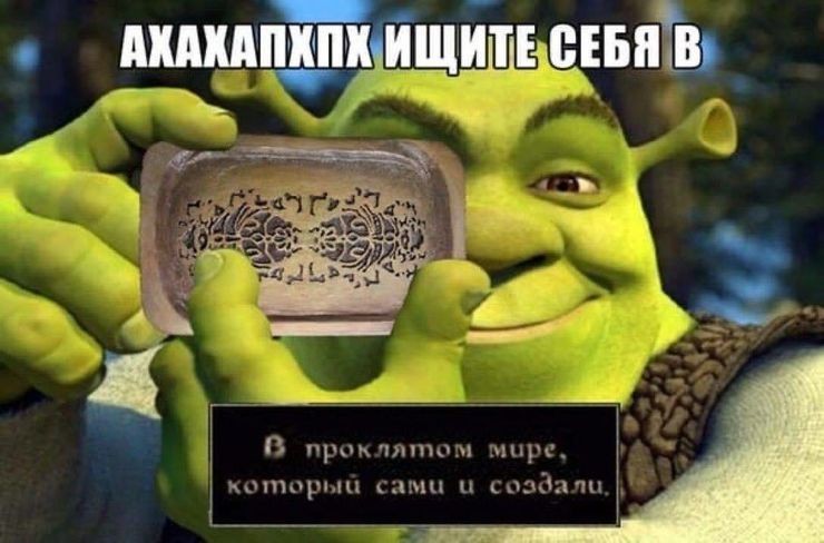Create meme: Shrek with a camera, Shrek meme template, Shrek 