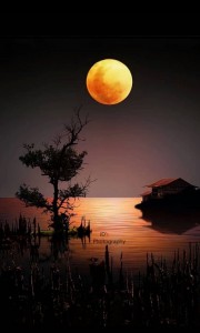 Create meme: beautiful picture of night and moon, night cross moon pictures, pictures landscape sunset and the moon