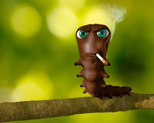 Create meme: caterpillar with a cigarette, caterpillar with a cigarette meme, the smoking caterpillar