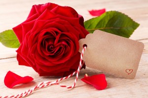 Создать мем: романтик гуллар, red rose, love rose