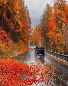 Create meme: the autumn machine, autumn road photo Karelia, the Wallpapers autumn road
