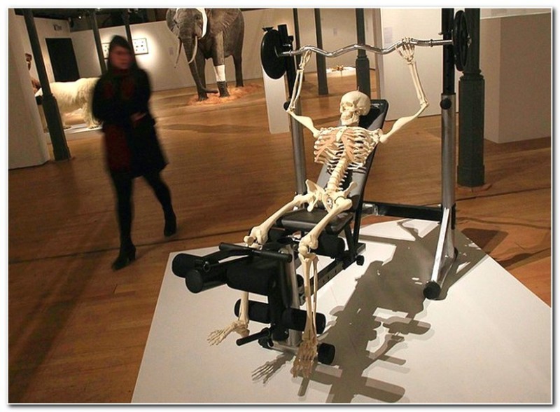 Create meme: The skeleton in the gym, the Museum of Eroticism in St. Petersburg, model of human skeleton