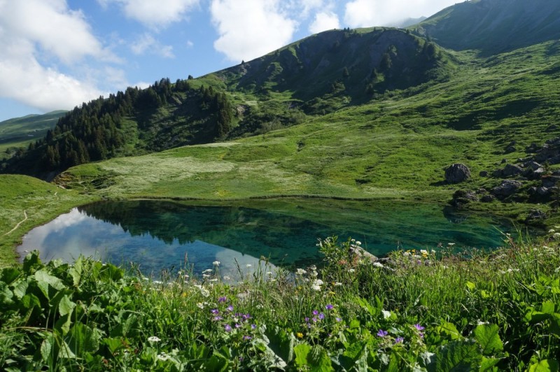 Create meme: arkhyz lake, Arkhyz lake aimatly-jagaly-kel, arkhyz lake semitsvetnoe
