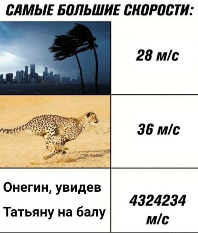 Создать мем: мемы про скорость интернета, гепард скорость бега, самые большие скорости мем