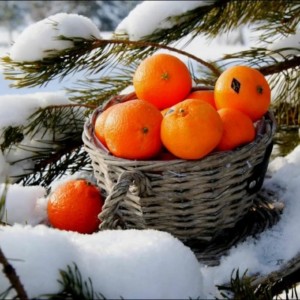 Создать мем: новогодний мандарин, новогоднее настроение мандарины, апельсины под елкой