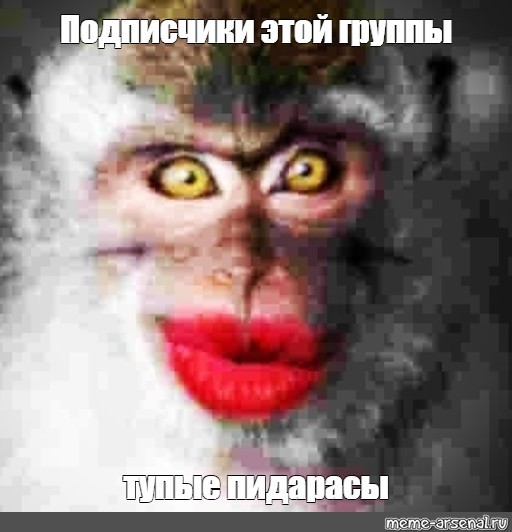 Create "funny monkey, with red Pictures - Meme-arsenal.com