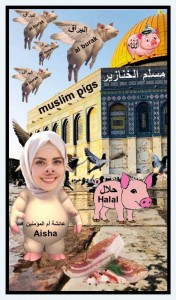 Создать мем: ислам, животные халяль и харам, крыса и свинья