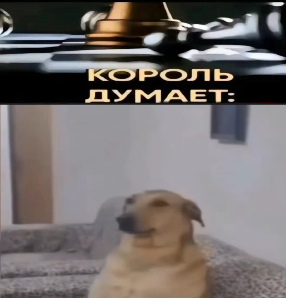 Создать мем: собака, собачка в короне, мем собака