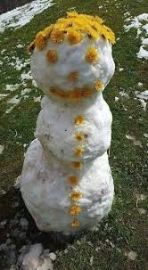 Создать мем: снеговик, снеговики лето выпал снег, необычные снеговики