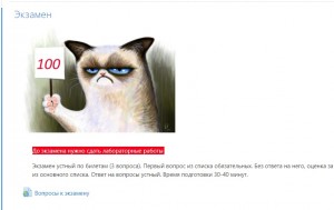 Create meme: grumpy cat, text