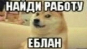 Создать мем: грусть doge, собака мем, короткая собака мем