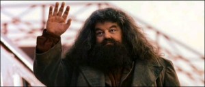 Create meme: Hagrid