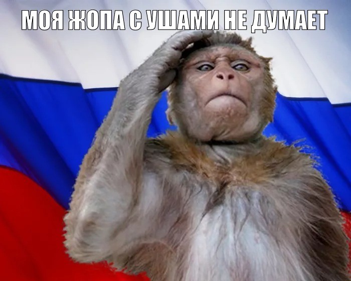 Create meme: monkeys in russia, monkey , smallpox of monkeys