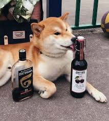 Создать мем: собака с пивом, собака сиба, shiba inu