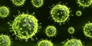 Create meme: coronaviruses, the flu virus