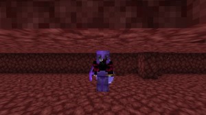 Create meme: minecraft, vampire minecraft, mine minecraft