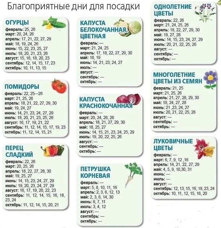 Создать мем: календарь посадки рассады огурцов, кремлёвская диета таблица полная меню на месяц, совместимость овощей