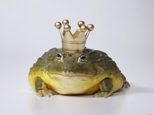 Создать мем: лягушка жаба, царевна лягушка, жаба