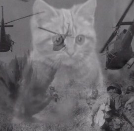 Create meme: cat flashbacks vietnam, cat flashbacks, flashbacks from Vietnam cat