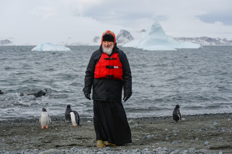 Create meme: Antarctica , the penguins of Antarctica , arctic antarctica