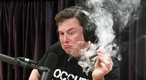 Create meme: Elon musk meme, musk Elon musk, Elon musk smokes live