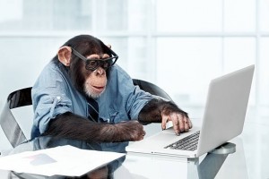 Create meme: monkey, monkey behind a computer, monkey in the office