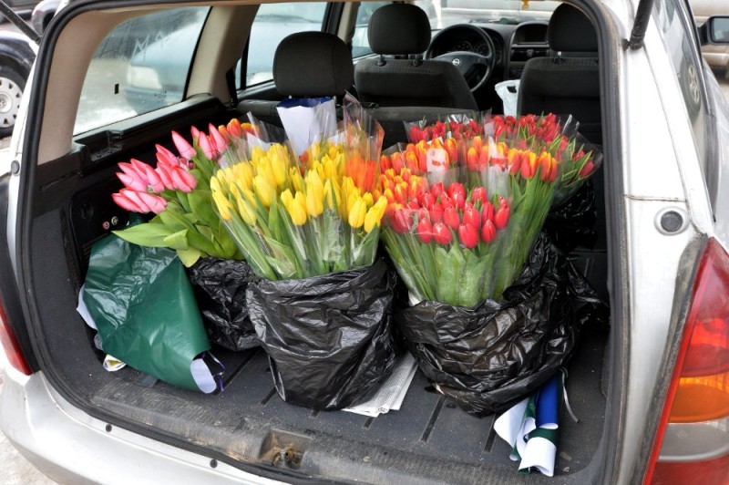 Create meme: tulips in the car, bouquet of tulips in the car, bouquet of tulips