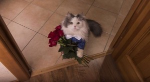 Create meme: kitten with a bouquet of flowers, the cat gives flowers, cat with a bouquet of flowers