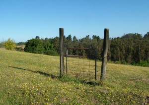 Создать мем: земельный участок, участок, fence