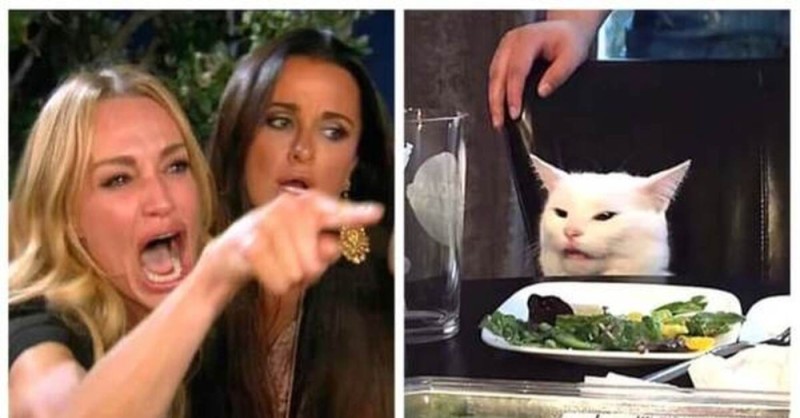 Создать мем: мемы с двумя девушками и котом, кот и две девушки мем, мемы с котом и девушками