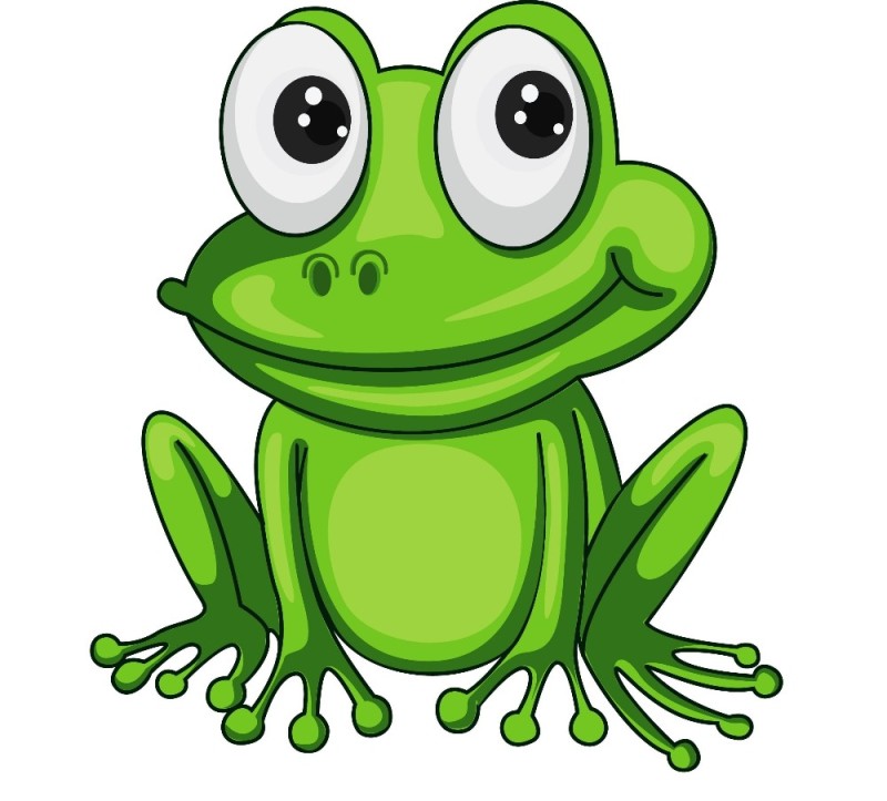 Create meme: a frog without a background, frog on a white background, cartoon frog
