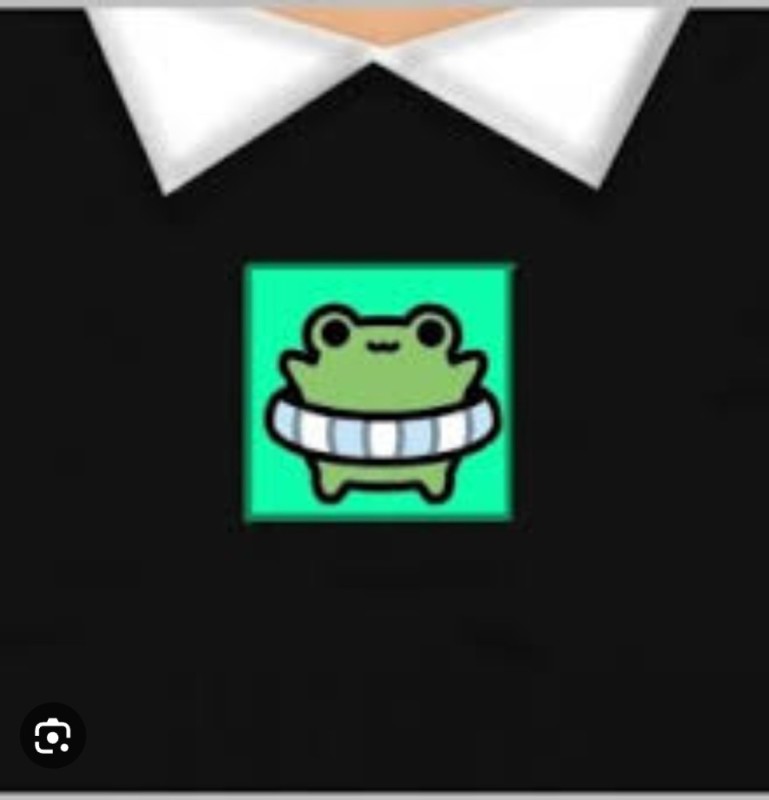 Create meme: t-shirts for roblox frog, t-shirt for the get, clothes in the t shirt roblox