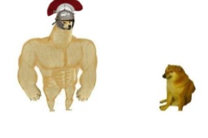 Создать мем: собака с мускулами мем, собака качок мем